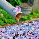 永福禅寺 - 杭州市旅游 缩略图 3