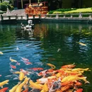 灵山胜境 - 无锡市旅游 缩略图 8