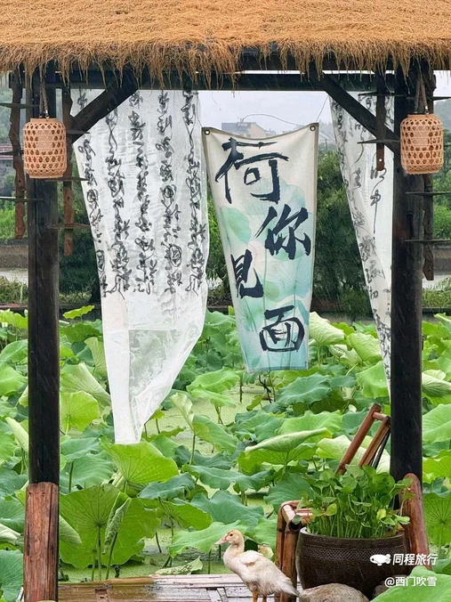 四季逸境酒店(金华高铁站银泰城店) - 金华市旅游