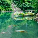 江浙沪菜馆 - 澳门特别行政区旅游 缩略图 8