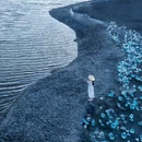 江浙沪菜馆 - 澳门特别行政区旅游 缩略图 6