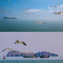 海驴岛风景区码头 - 威海市旅游 缩略图 5