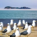 海驴岛风景区码头 - 威海市旅游 缩略图 2