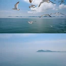 海驴岛风景区码头 - 威海市旅游 缩略图 3