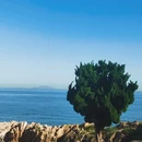 小麦岛公园 - 青岛市旅游 缩略图 6