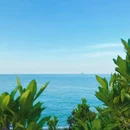 小麦岛公园 - 青岛市旅游 缩略图 7