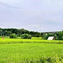 广州迳下乡村旅游景区 - 广州市旅游 缩略图 4