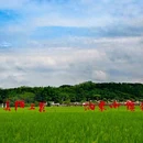 广州迳下乡村旅游景区 - 广州市旅游 缩略图 3