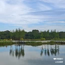 广州迳下乡村旅游景区 - 广州市旅游 缩略图 8
