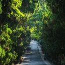 八大关景区 - 青岛市旅游 缩略图 7