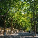 八大关景区 - 青岛市旅游 缩略图 8