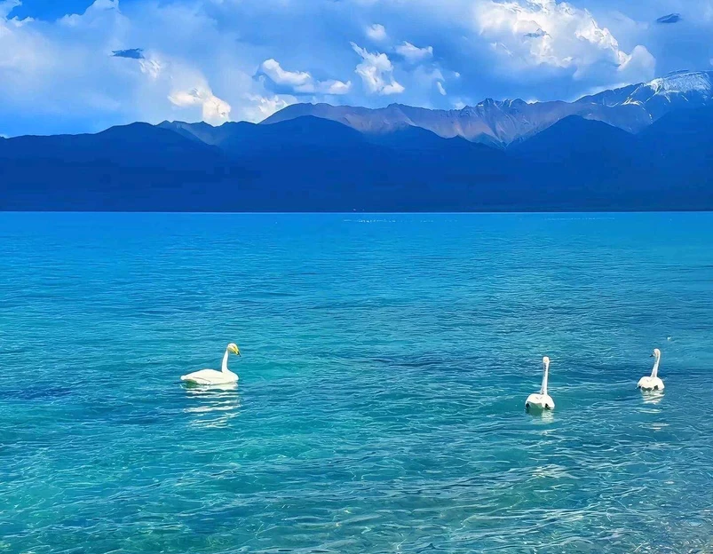赛里木湖天境里 - 博尔塔拉蒙古自治州旅游 1