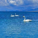 赛里木湖天境里 - 博尔塔拉蒙古自治州旅游 缩略图 8