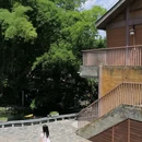 崇左石林 - 崇左市旅游 缩略图 2