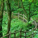 大飞水 - 成都市旅游 缩略图 3