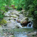 大飞水 - 成都市旅游 缩略图 9