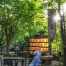 江南味道·私房菜(周庄店) - 苏州市旅游 缩略图 9