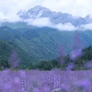 四川唐家河国家级自然保护区 - 广元市旅游 缩略图 2
