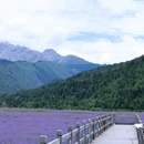 四川唐家河国家级自然保护区 - 广元市旅游 缩略图 9