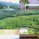成都香格里拉 - 成都市旅游 缩略图 8