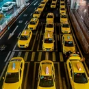 黄葛古道 - 重庆市旅游 缩略图 5