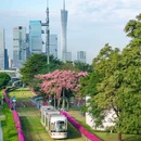 农讲所大院 - 广州市旅游 缩略图 2