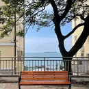 琴屿路 - 青岛市旅游 缩略图 5
