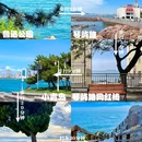 琴屿路 - 青岛市旅游 缩略图 2