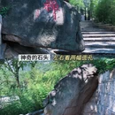 华严游览区 - 青岛旅游 缩略图 9