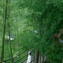 安吉云上草原度假村·半山隐竹熊猫酒店 - 湖州市旅游 缩略图 2