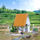 安吉云上草原度假村·半山隐竹熊猫酒店 - 湖州市旅游 缩略图 3