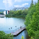 安吉云上草原度假村·半山隐竹熊猫酒店 - 湖州市旅游 缩略图 6