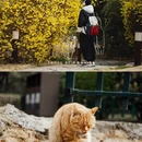 大明湖风景名胜区 - 济南市旅游 缩略图 4