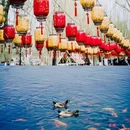大明湖风景名胜区 - 济南市旅游 缩略图 2