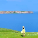 呼伦贝尔大草原 - 呼伦贝尔市旅游 缩略图 8