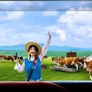 呼伦贝尔大草原 - 呼伦贝尔市旅游 缩略图 7