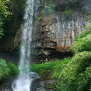 龙苍沟叠翠溪景区 - 雅安市旅游 缩略图 2