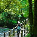 龙苍沟叠翠溪景区 - 雅安市旅游 缩略图 8