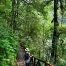 龙苍沟叠翠溪景区 - 雅安市旅游 缩略图 7