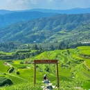 肇兴侗寨 - 黔东南苗族侗族自治州旅游 缩略图 7