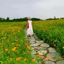 兴隆湖湿地公园 - 成都市旅游 缩略图 9