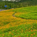 兴隆湖湿地公园 - 成都市旅游 缩略图 7