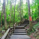 都江堰新华海颐·御垒山居酒店 - 成都市旅游 缩略图 1
