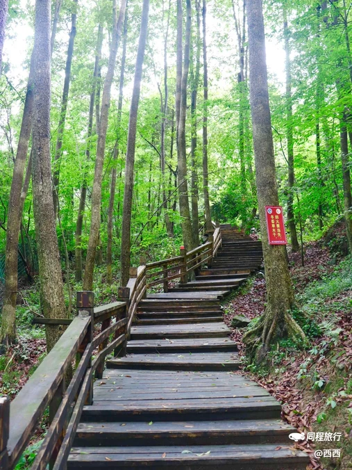 都江堰新华海颐·御垒山居酒店 - 成都市旅游