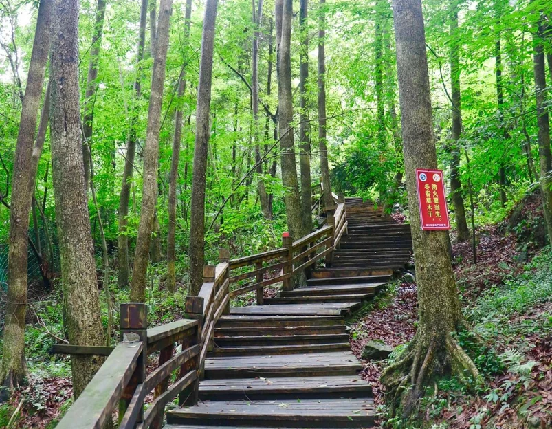都江堰新华海颐·御垒山居酒店 - 成都市旅游 1