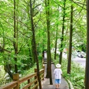 都江堰新华海颐·御垒山居酒店 - 成都市旅游 缩略图 4