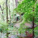 都江堰新华海颐·御垒山居酒店 - 成都市旅游 缩略图 5