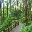 都江堰新华海颐·御垒山居酒店 - 成都市旅游 缩略图 6