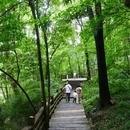 都江堰新华海颐·御垒山居酒店 - 成都市旅游 缩略图 9