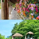 峒那屿湾 - 崇左市旅游 缩略图 2